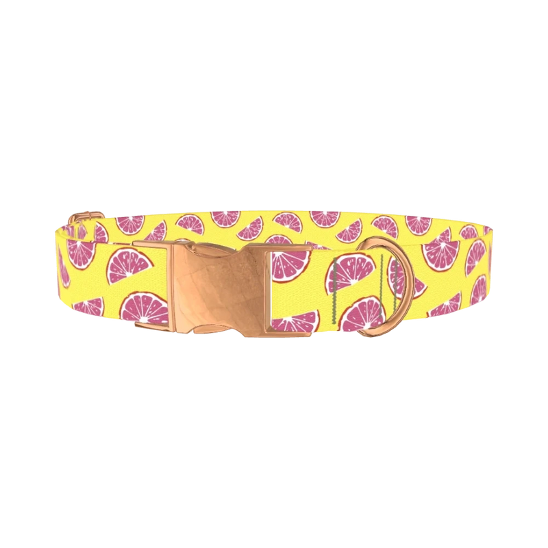 Grapefruit Slice Dog Collar - metal rose gold
