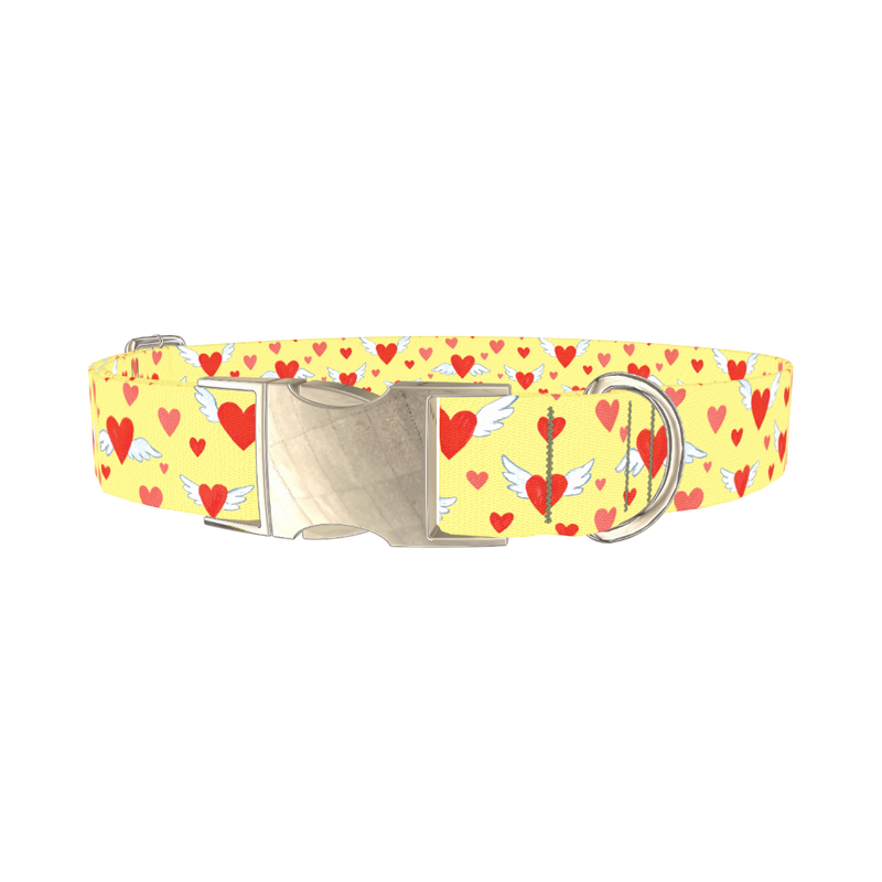 Flying Hearts Dog Collar - metal silver