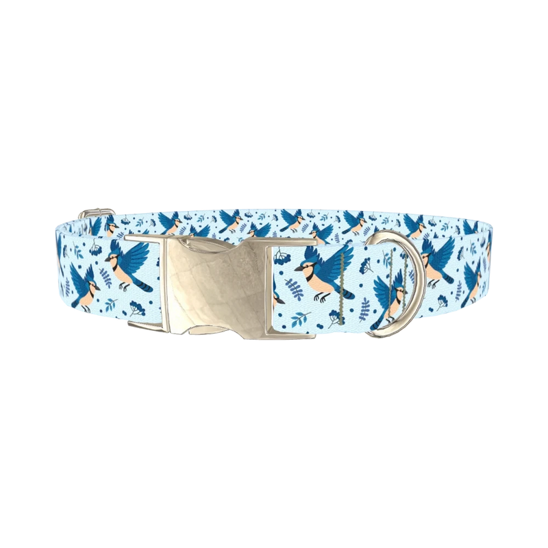 Bluejay Bird Dog Collar - metal silver