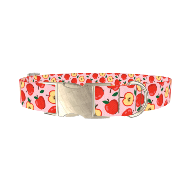 Apple Fruit Dog Collar - metal silver