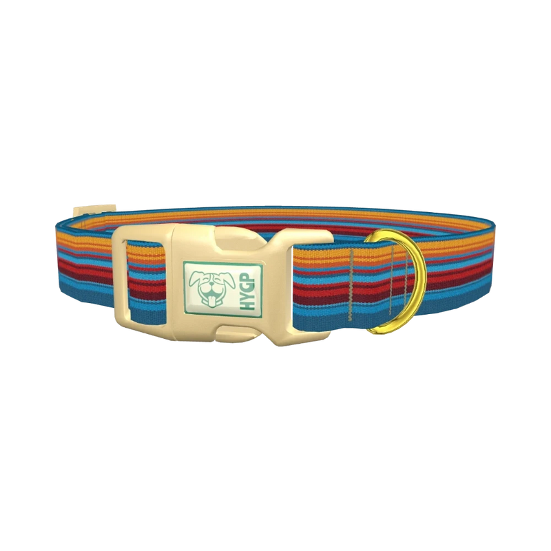 Colorful Geometric Stripe Dog Collar - plastic gold