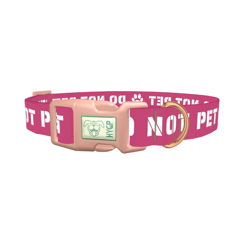 Pink Do Not Pet Dog Collar - plastic rose gold