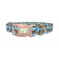 Monarch Butterfly Dog Collar - plastic rose gold