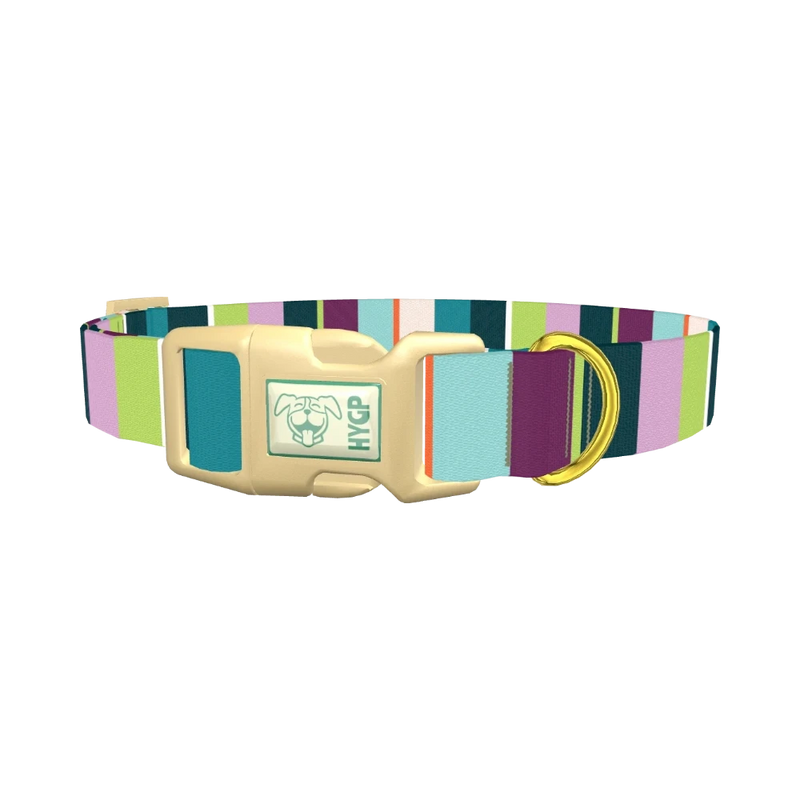 Striped Pattern Dog Collar - plastic gold