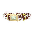 Cow Print Dog Collar - plastic gold