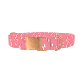 Pink Candy Cane Dog Collar - metal rose gold