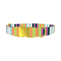Pastel Stripe Dog Collar - metal gold