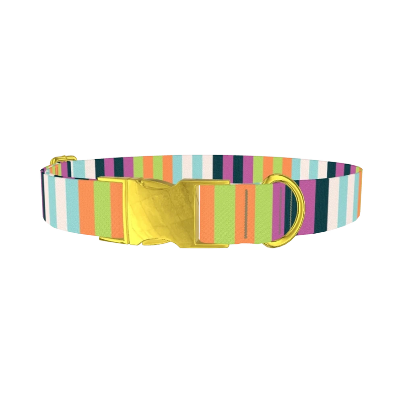 Pastel Stripe Dog Collar - metal gold