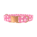 Seashell Beach Dog Collar - metal silver