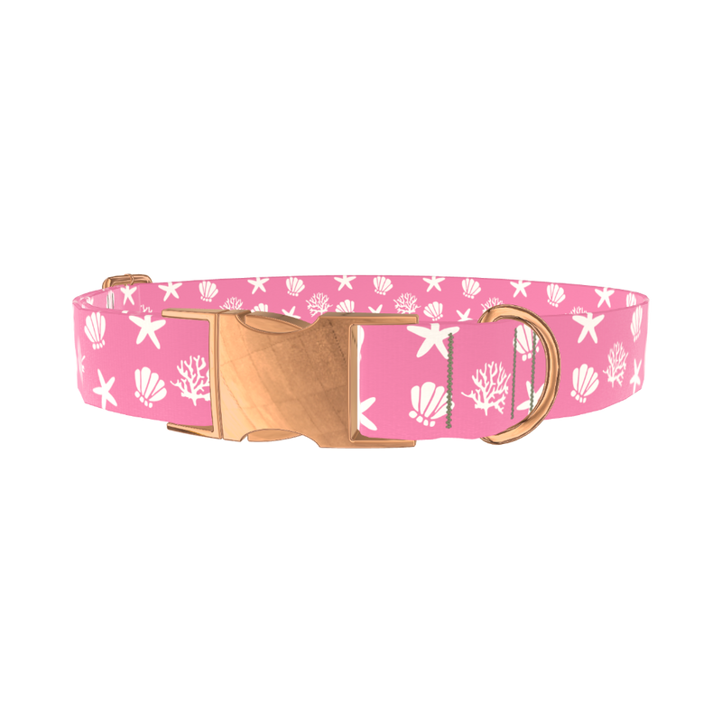 Seashell Beach Dog Collar - metal silver