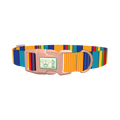 Vibrant Stripe Dog Collar - plastic rose gold