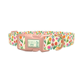 Floral Tulip Stripes Dog Collar - plastic rose gold