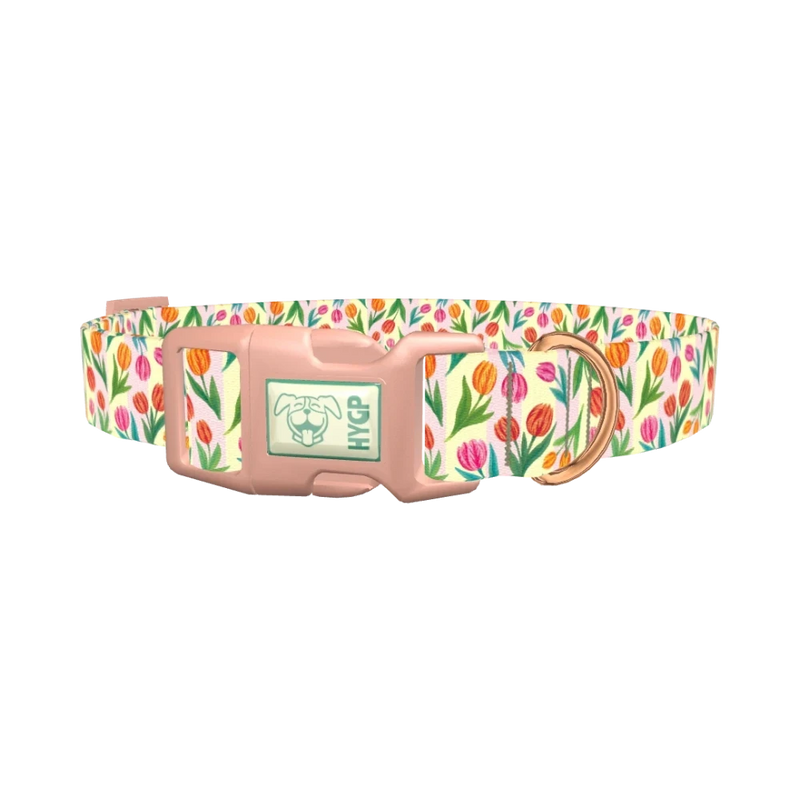 Floral Tulip Stripes Dog Collar - plastic rose gold
