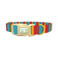 Red Turquoise Stripe Dog Collar - plastic gold