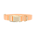 Halloween Stripes Dog Collar - plastic rose gold