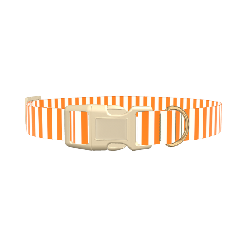 Halloween Stripes Dog Collar - plastic rose gold