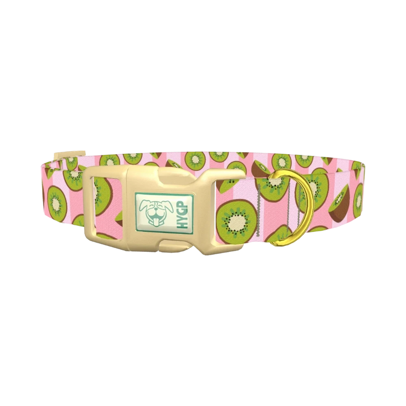 Pink Kiwi Pattern Dog Collar - plastic gold