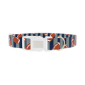 Football Stripes Dog Collar - plastic silver