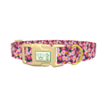 Pink Daisy Floral Dog Collar - plastic gold