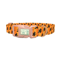 Halloween Witch Stripes Dog Collar - plastic rose gold