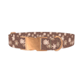 Floral Coffee Dog Collar - metal rose gold