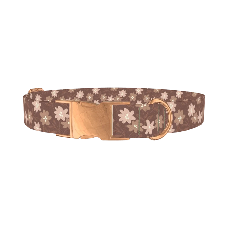 Floral Coffee Dog Collar - metal rose gold