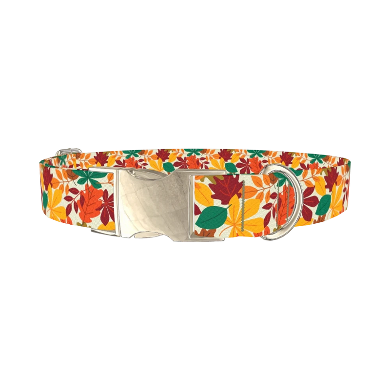 Multicolor Leaf Pattern Dog Collar - metal silver