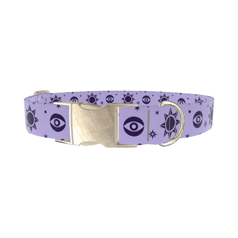 Mystical Star Dog Collar - metal gold