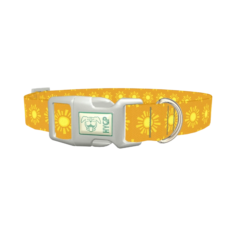 Sunburst Pattern Dog Collar - plastic silver