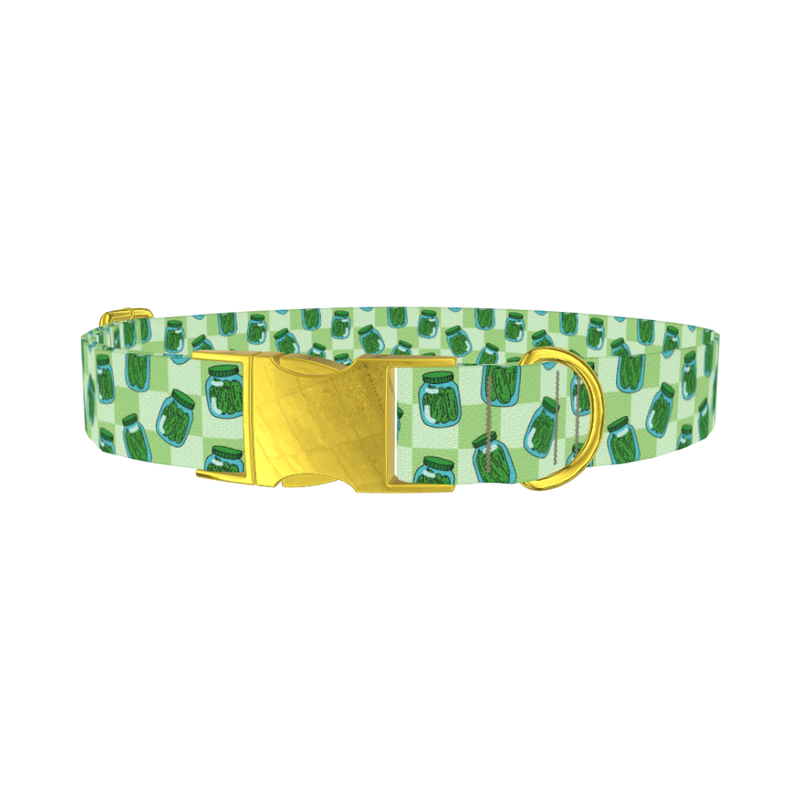 Pickle Jar Dog Collar - metal gold
