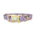 Halloween Witchy Mirror Dog Collar - plastic gold