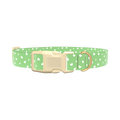 Green Heart Dog Collar - plastic silver