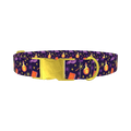 Halloween Witch Potion Dog Collar - metal gold