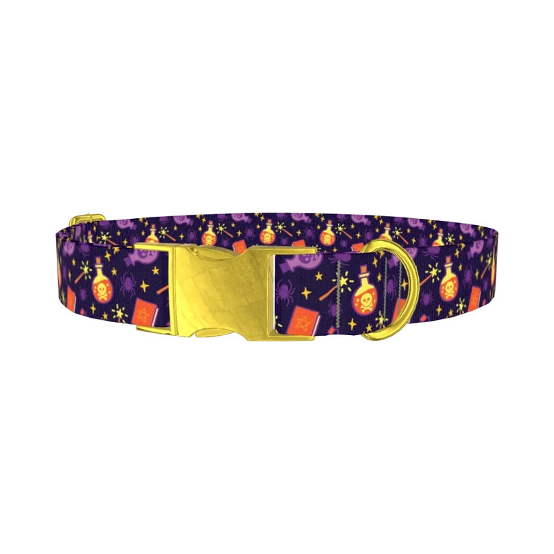 Halloween Witch Potion Dog Collar - metal gold