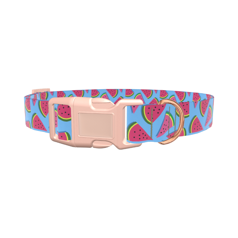 Geometric Watermelon Dog Collar - plastic gold