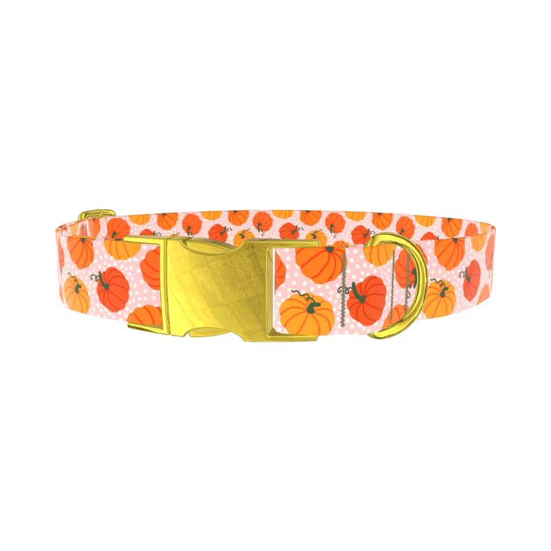 Halloween Pumpkin Dot Dog Collar - metal rose gold