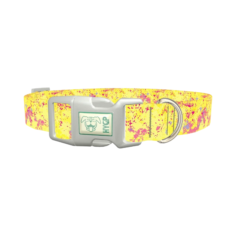 Yellow Abstract Splatter Dog Collar - plastic silver