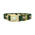 Irish Flag Bow Dog Collar - plastic gold