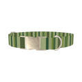 Green Striped Pattern Dog Collar - metal silver