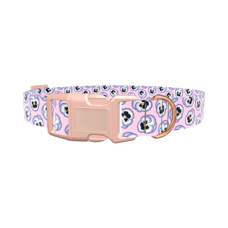 Floral Pansy Dog Collar - plastic silver