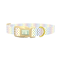 Rainbow Polka Dot Dog Collar - plastic gold
