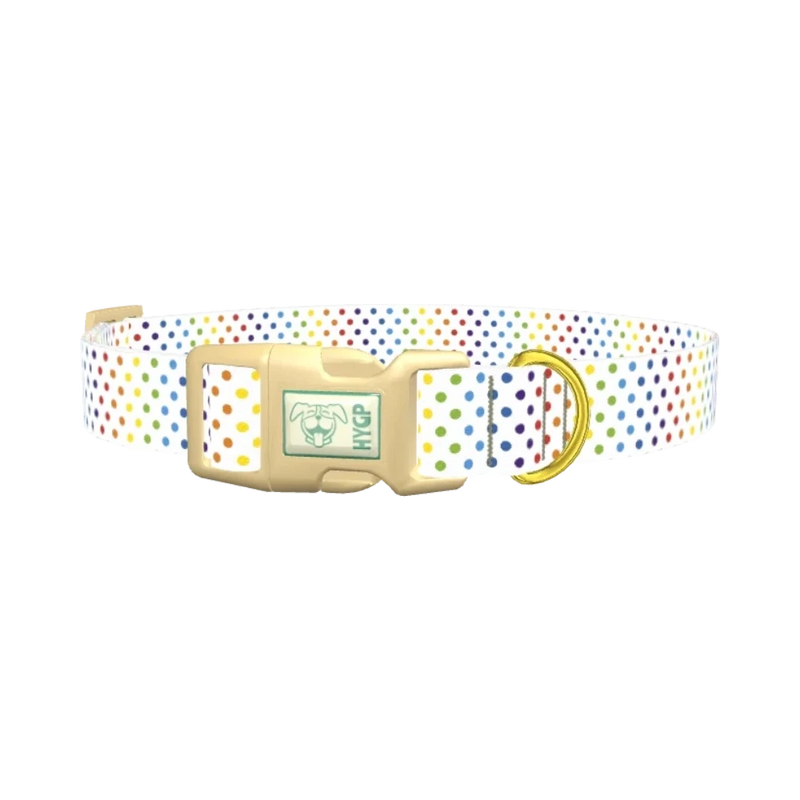 Rainbow Polka Dot Dog Collar - plastic gold