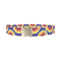 Colorful Burst Dog Collar - metal silver