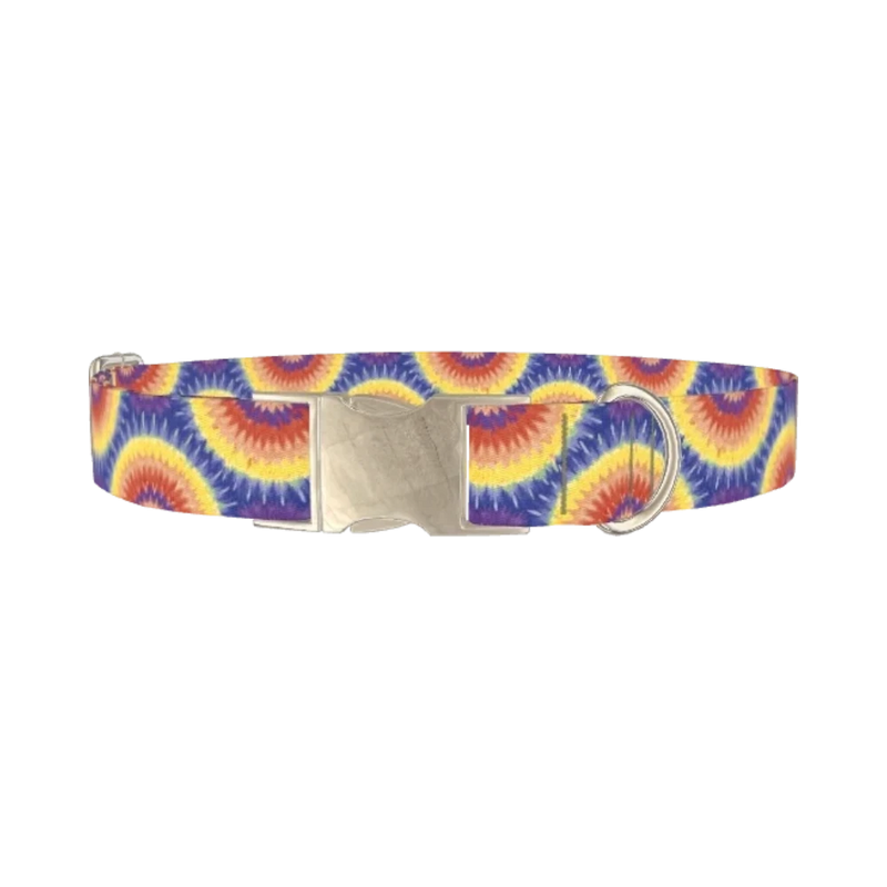 Colorful Burst Dog Collar - metal silver