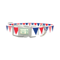 Patriotic Stars and Stripes Dog Collar - plastic silver