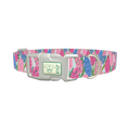 Floral Hyacinth Dog Collar - plastic silver