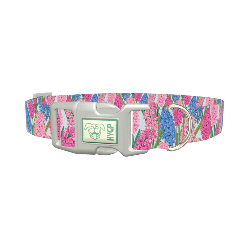 Floral Hyacinth Dog Collar - plastic silver