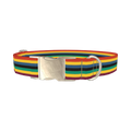 Bold Multicolor Stripe Dog Collar - metal silver