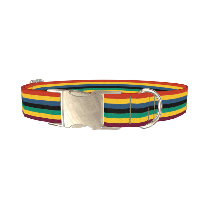 Bold Multicolor Stripe Dog Collar - metal silver