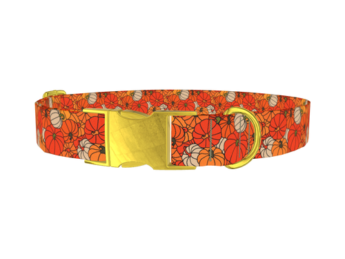 Autumn Harvest Pumpkin Dog Collar